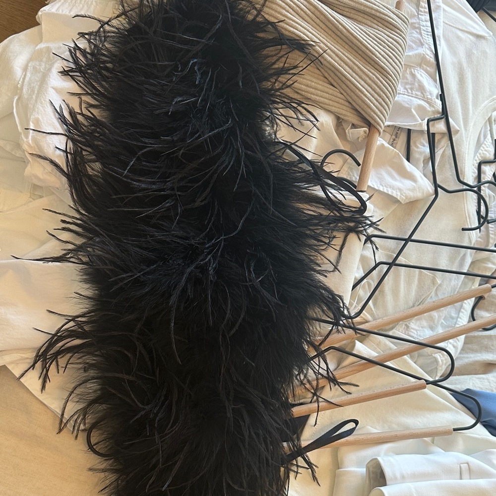 Lamarque Black Feather Crop Top